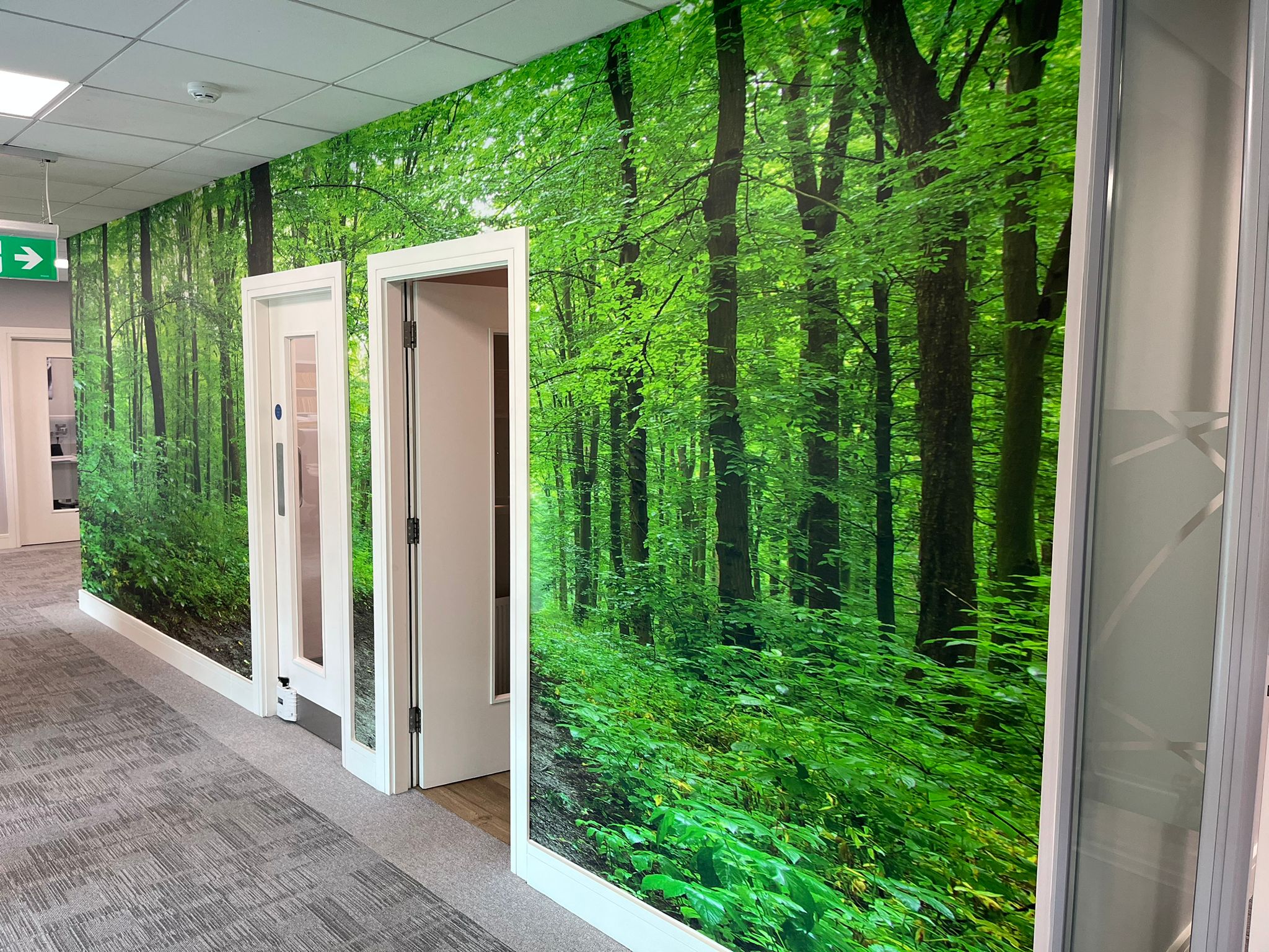 Etched Window Graphics